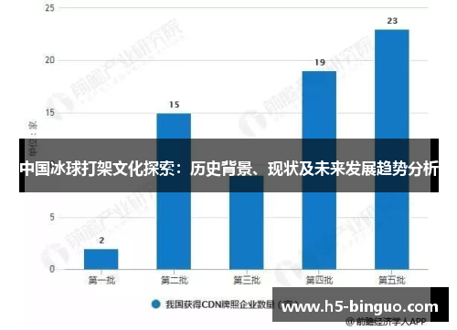 中国冰球打架文化探索：历史背景、现状及未来发展趋势分析